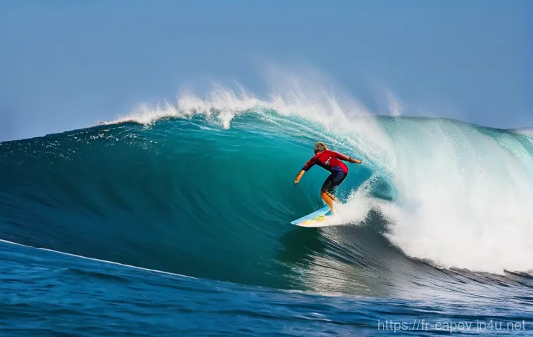 카보베르데 해양 스포츠 - **Serene Underwater Exploration in a Volcanic Reef**
An awe-inspiring underwater scene depicting... 카보베르데 해양 스포츠 - **Serene Underwater Exploration in a Volcanic Reef**
An awe-inspiring underwater scene depicting...