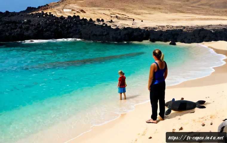Écotourisme au Cap-Vert : quelle île choisir selon vos paysages, votre budget et votre niveau de marche ? 3 카보베르데 자연경관과 생태관광 관련 이미지 1